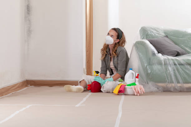 Reliable Mold Testing contractor in Kintnersville, PA by WQB Mold Removal